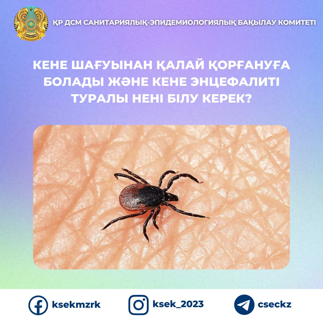 КЕНЕ ШАҒУЫНАН ҚАЛАЙ ҚОРҒАНУҒА БОЛАДЫ ЖӘНЕ КЕНЕ ЭНЦЕФАЛИТІ ТУРАЛЫ НЕНІ БІЛУ
