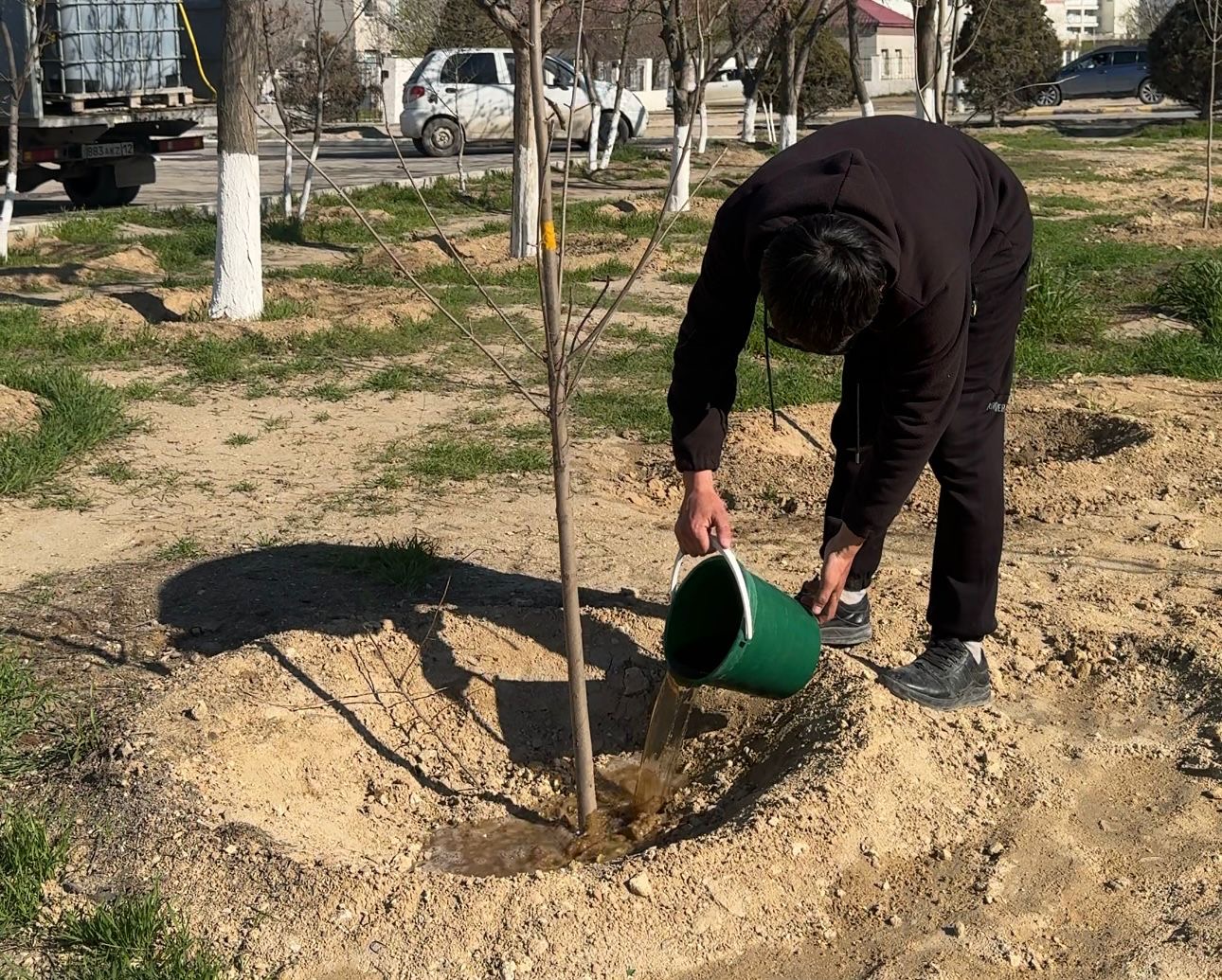 Ақтауда жасыл желектердің өсуін жақсарту бағытында агротехникалық жұмыстар жүргізілуде