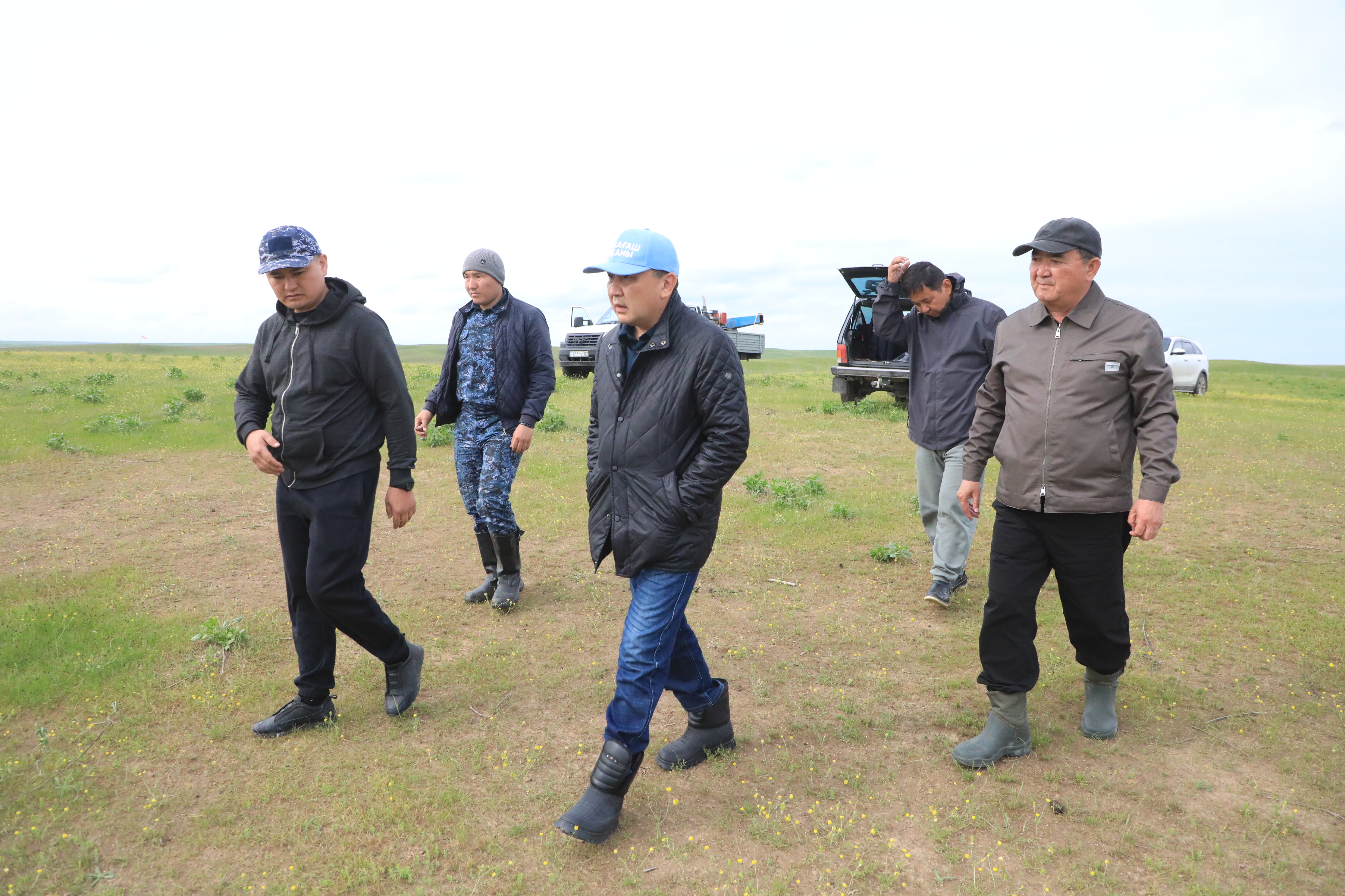 САРЫАҒАШ: ШЕГІРТКЕГЕ ҚАРСЫ ДӘРІЛЕУ ШАРАЛАРЫ ЖҮРГІЗІЛУДЕ