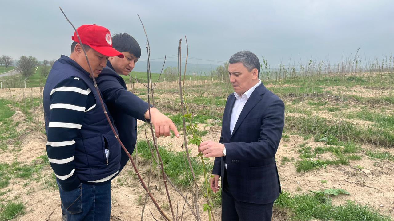 ЕГІЛГЕН КӨШЕТТЕРДІҢ ӨНУІН ҚАТАҢ БАҚЫЛАУДА ҰСТАУ ТАПСЫРЫЛДЫ