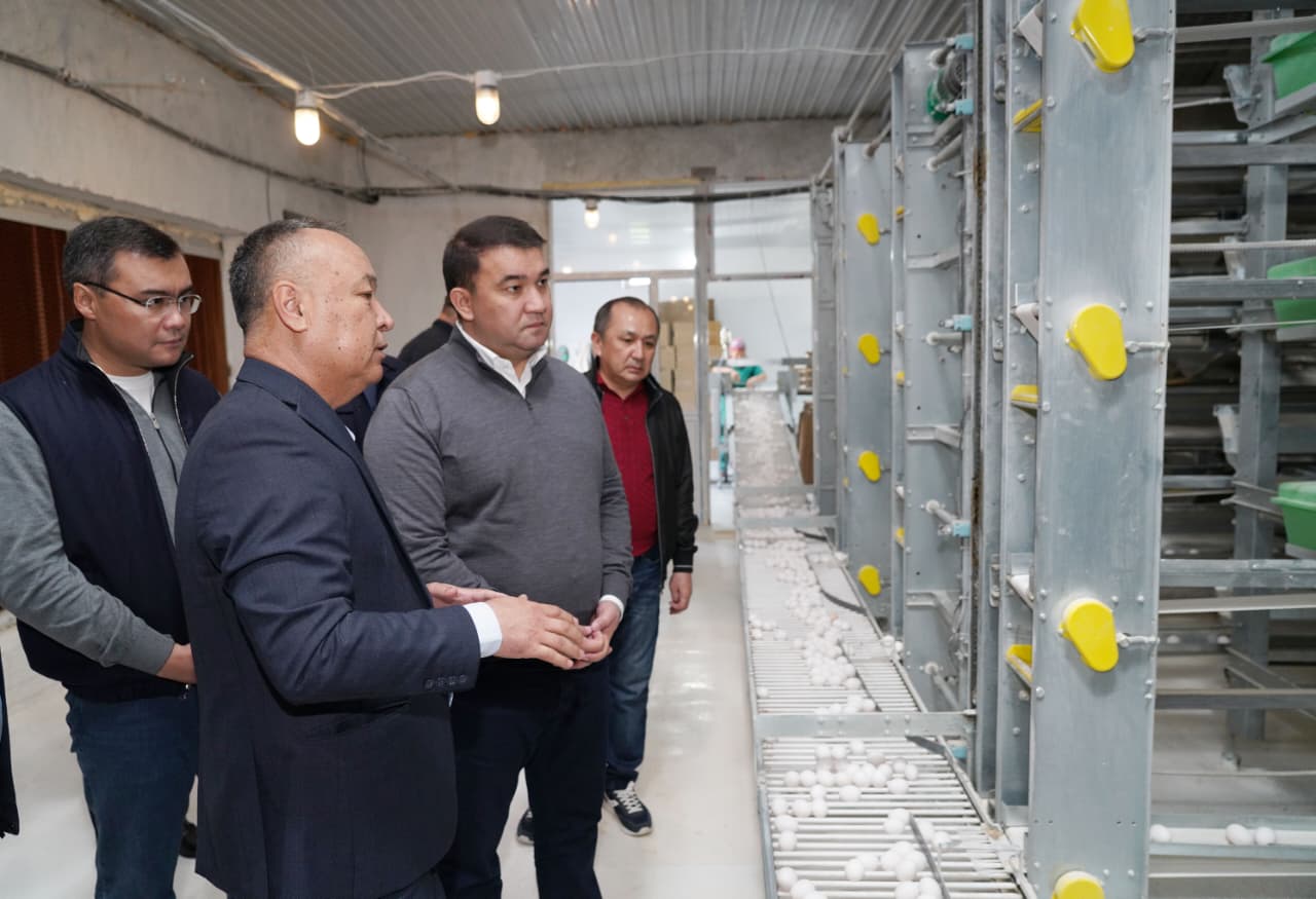 ТҮРКІСТАН: САРЫАҒАШТАҒЫ ҚҰС ФАБРИКАСЫ ӨҢІРДІ ОТАНДЫҚ ӨНІММЕН ҚАМТАМАСЫЗ ЕТІП ОТЫР