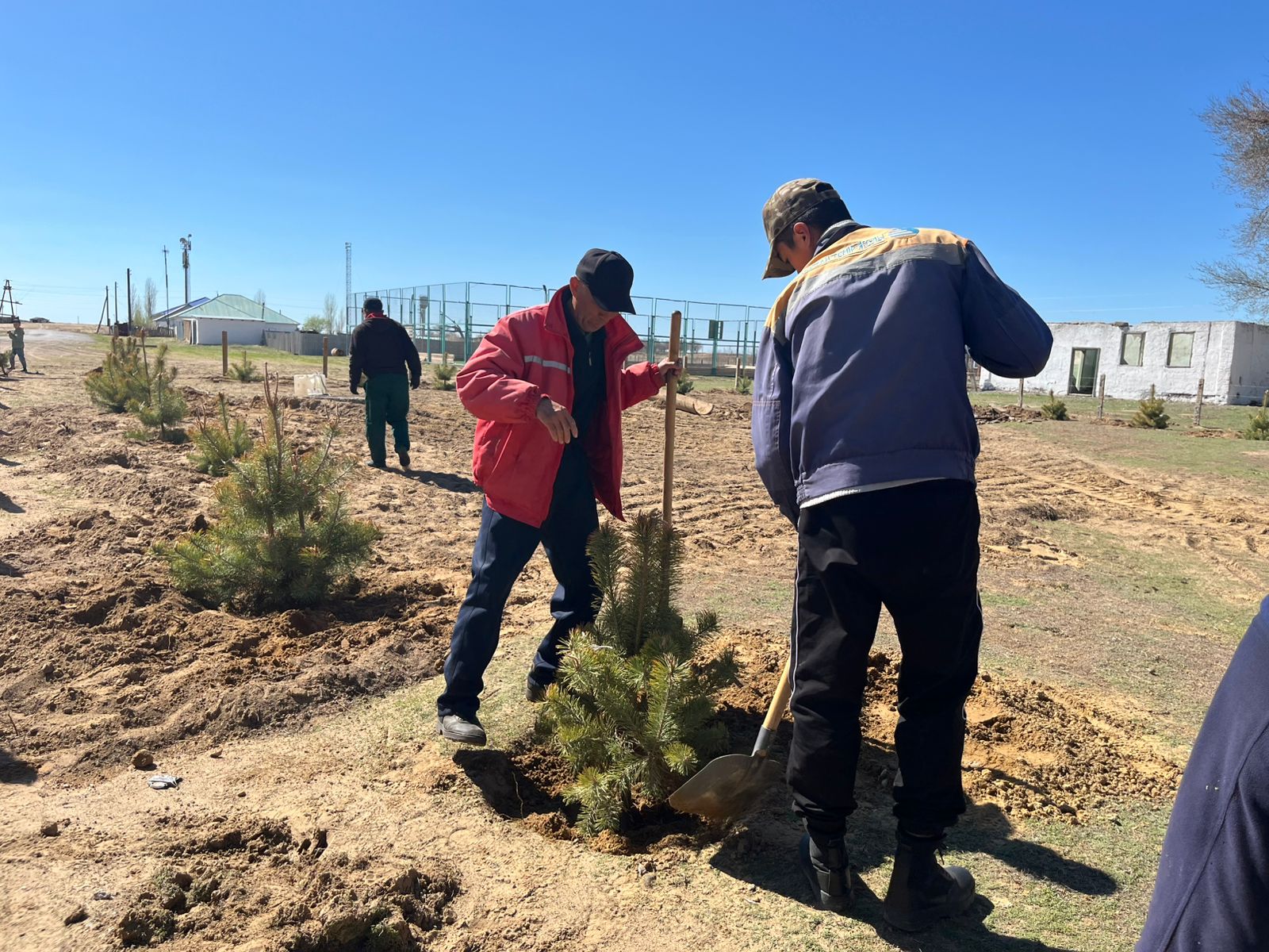 Түлектер тартуы