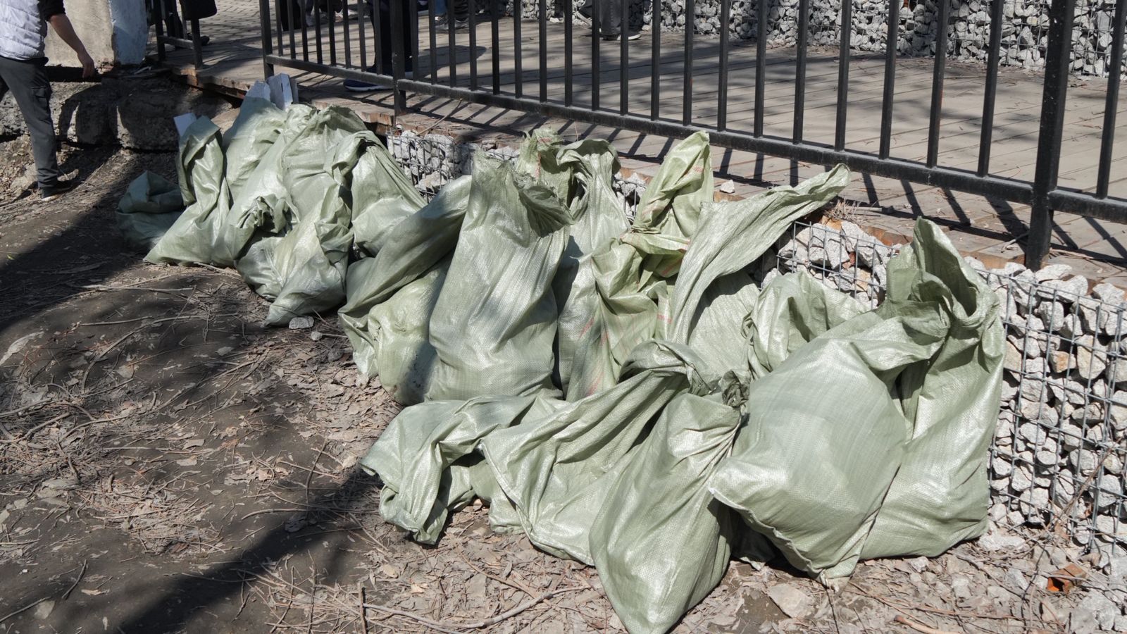 Таза Қазақстан: в Семее прошла акция по очистке острова Бейбітшілік