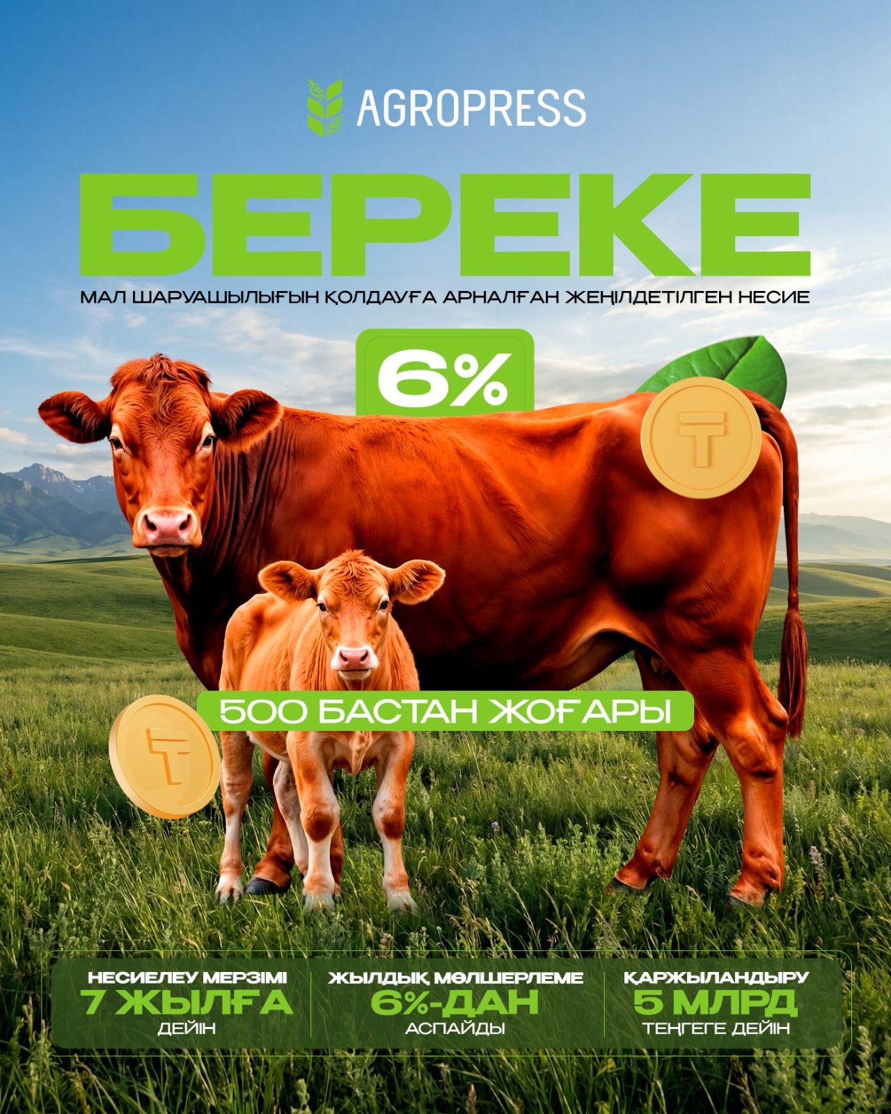 БЕРЕКЕ