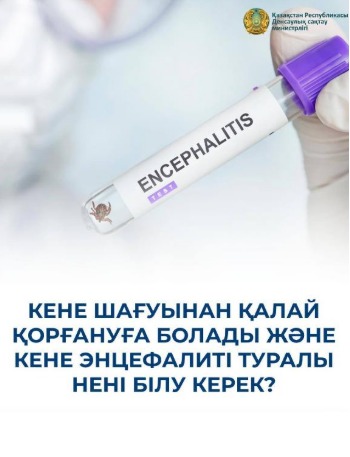 КЕНЕ ШАҒУЫНАН ҚАЛАЙ ҚОРҒАНУҒА БОЛАДЫ ЖӘНЕ КЕНЕ ЭНЦЕФАЛИТІ ТУРАЛЫ НЕНІ БІЛУ КЕРЕК?