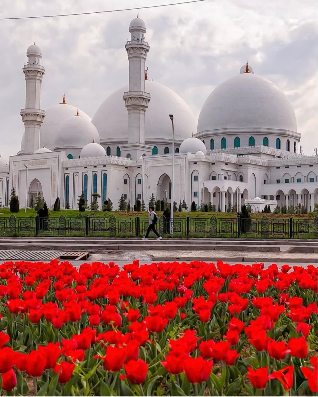 В городе Шымкент в этом году активно проводятся работы по озеленению