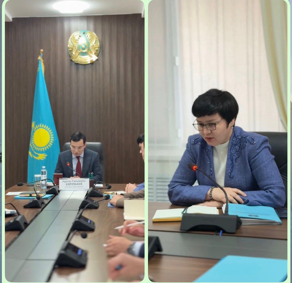 Әлеуметтік инфрақұрылым нысандарын бейімдеу шараларының орындалуы бойынша кеңес өткізілді.