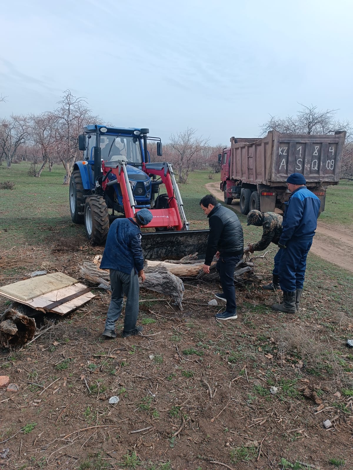 Батық ауылында қураған ағаштарды кесу және аумақты тазарту жұмыстары өтті