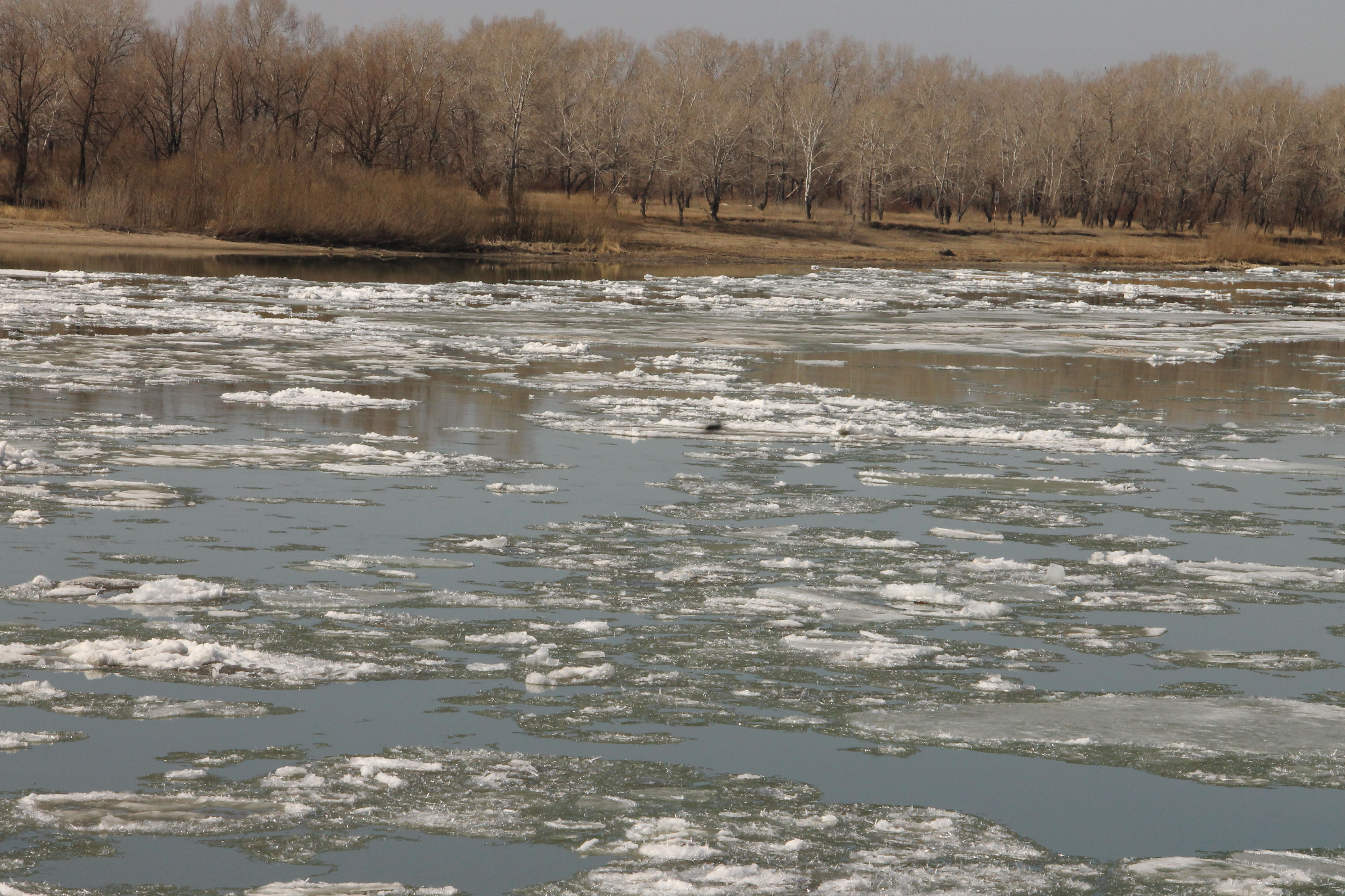 Қазақстан Республикасының ең үлкен өзендерінің бірінде мұздың жүруі басталды – ұмытылмас және қызықты көрініс