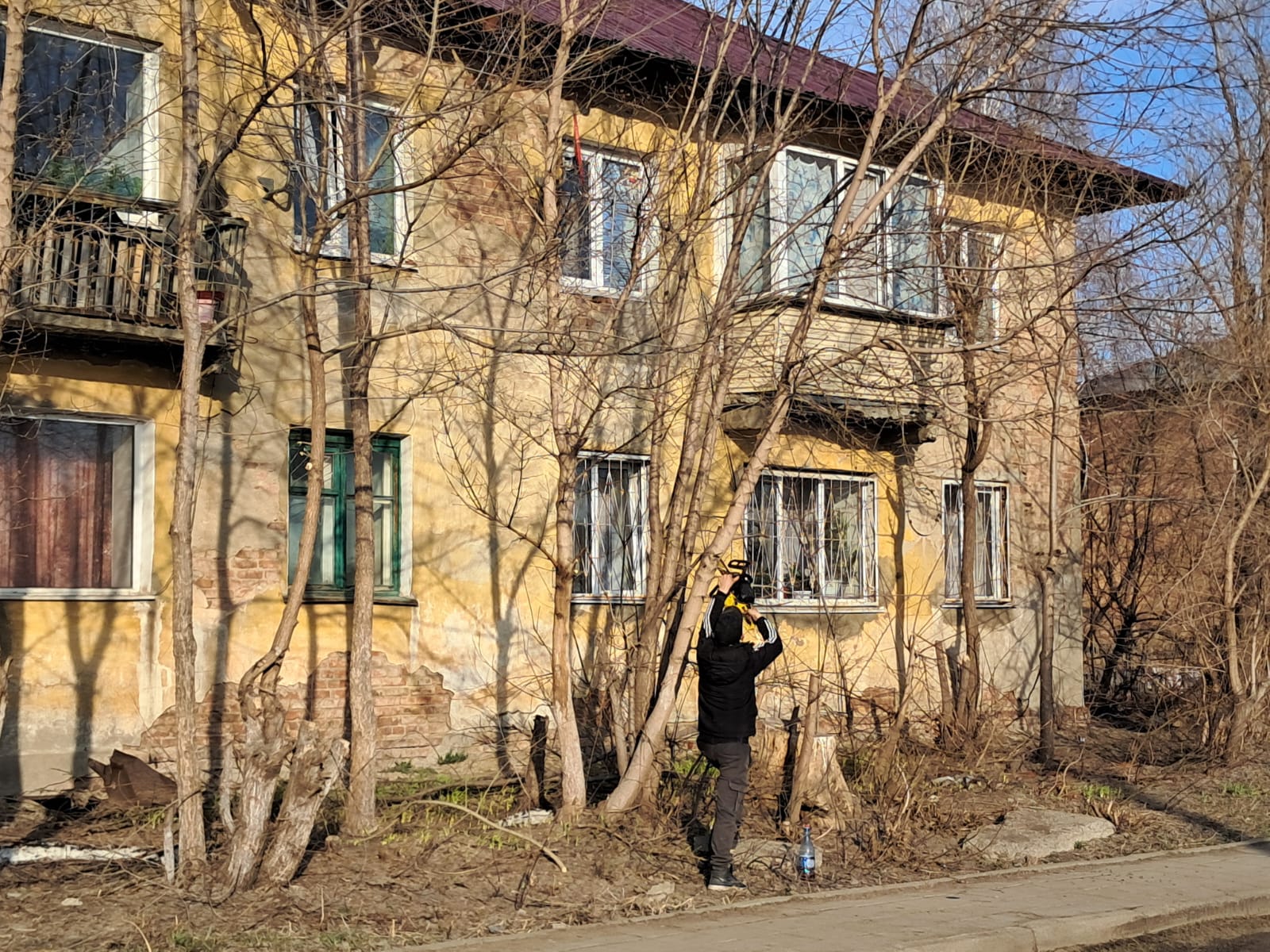 Кеше, 8 сәуір күні, кентте ағаштар мен бұталарды кесу жұмыстары жүргізілді