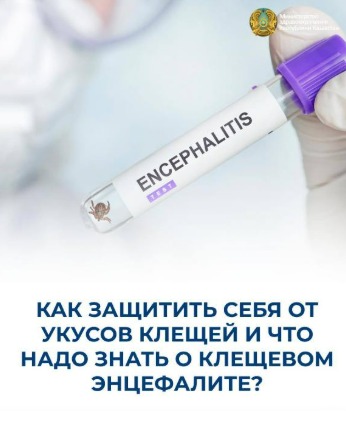 КЕНЕ ШАҒУЫНАН ҚАЛАЙ ҚОРҒАНУҒА БОЛАДЫ ЖӘНЕ КЕНЕ ЭНЦЕФАЛИТІ ТУРАЛЫ НЕНІ БІЛУ КЕРЕК?