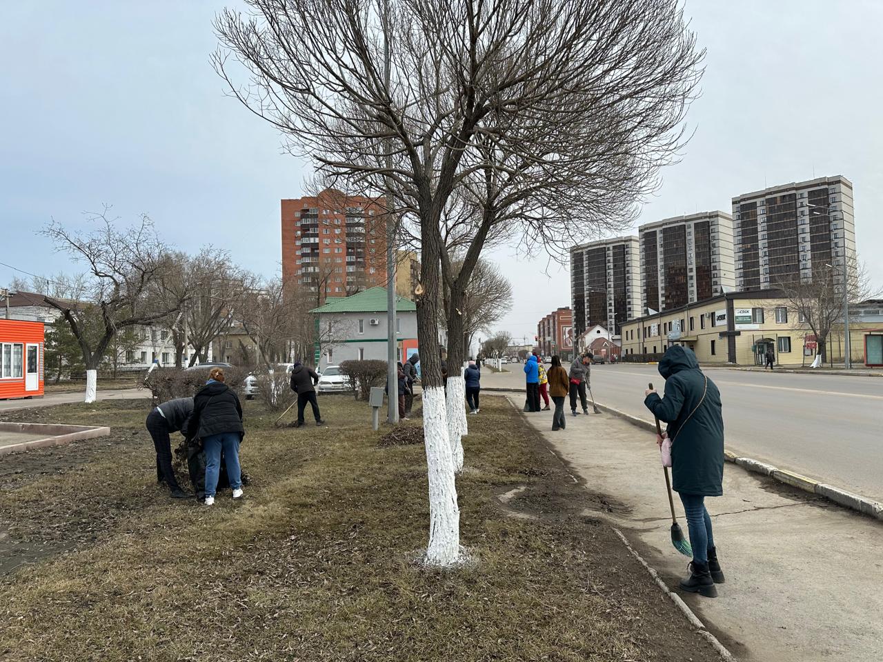 Жалпықалалық сенбілік