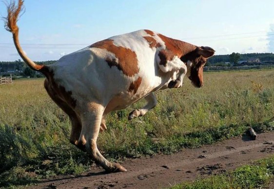 АБАЙЛАҢЫЗ, ҚҰТЫРУ!