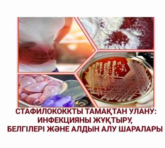 Стафилококкты тамақтан улану: инфекция жолдары, белгілері және алдын алу шаралары