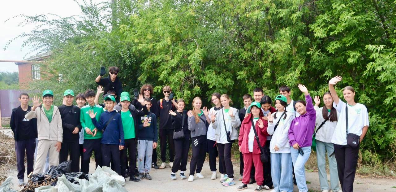 Орнықты даму мақсатындағы халықаралық еріктілер жылы туралы