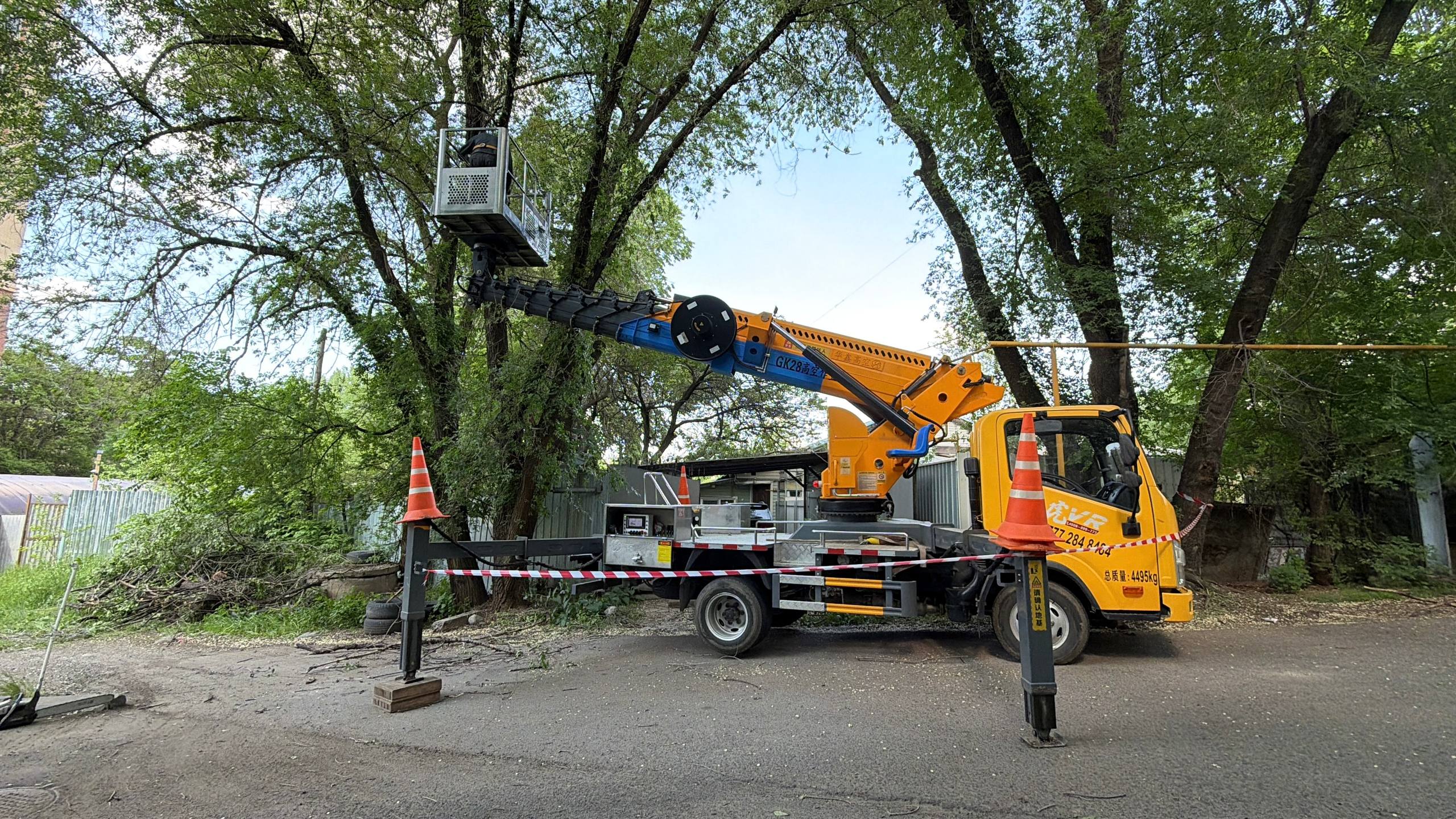 Әуезов ауданында жасыл желектерді санитарлық кесу жұмыстары күшейтілді