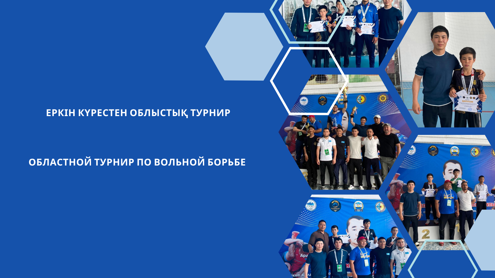 Еркін күрестен облыстық турнир
