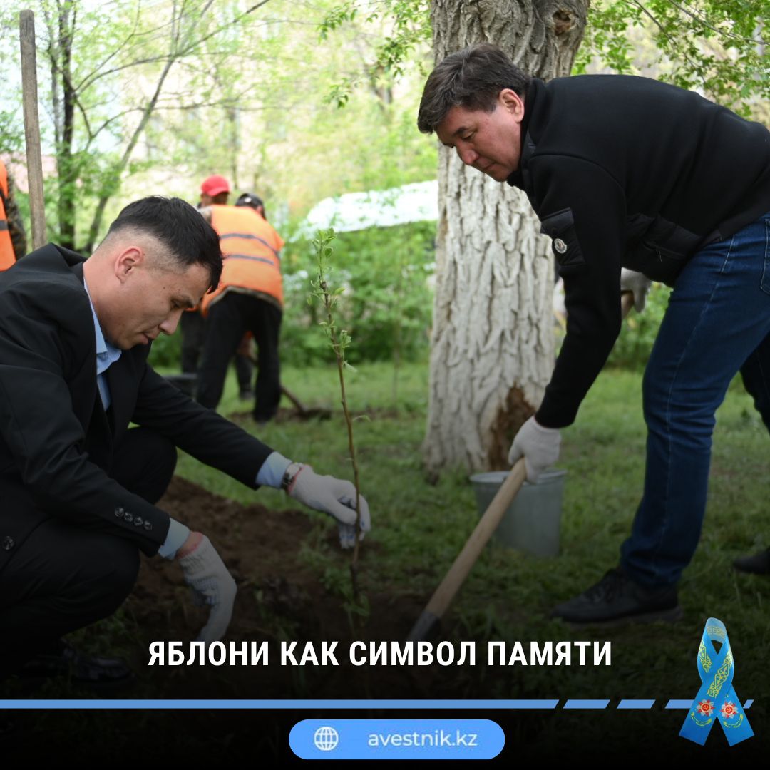 «Таза Қазақстан» республикалық акциясы аясында «Жеңіс» саябағында жеміс ағаштарының көшеттері отырғызылды.