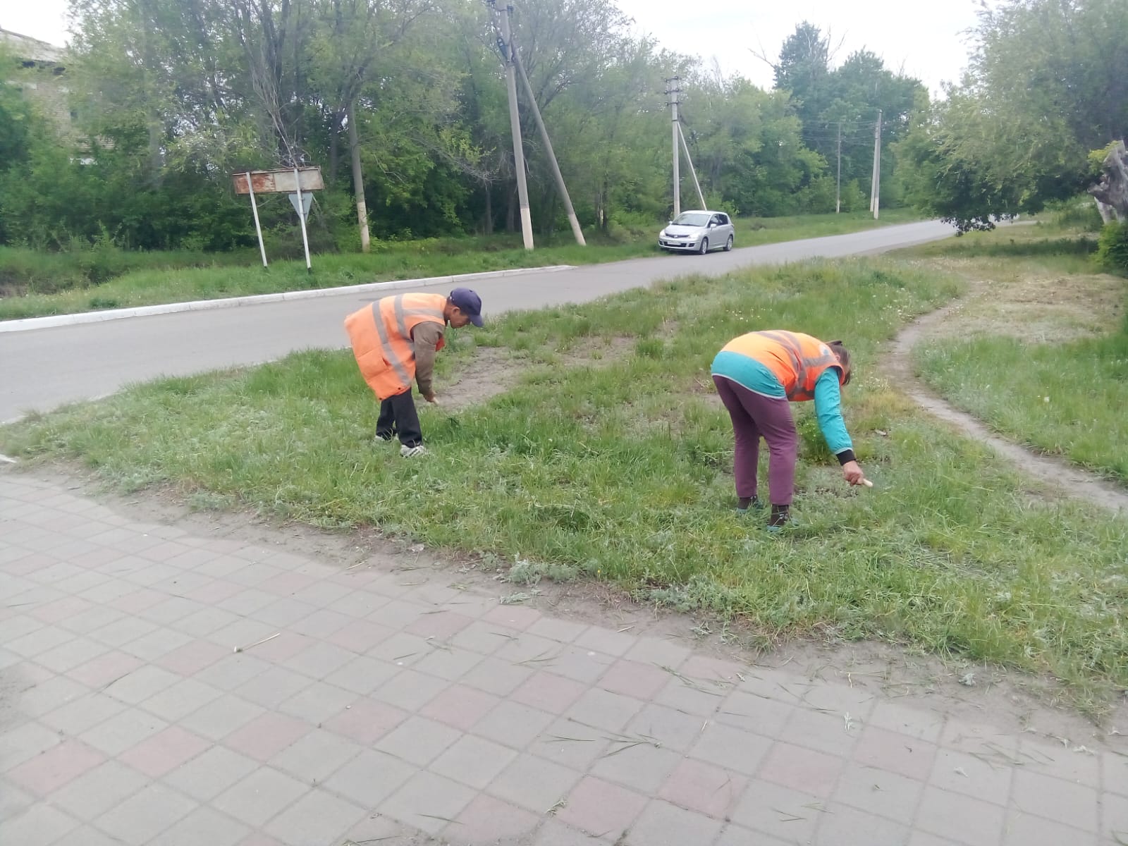 Каукетаев көшесінде шөп шабу