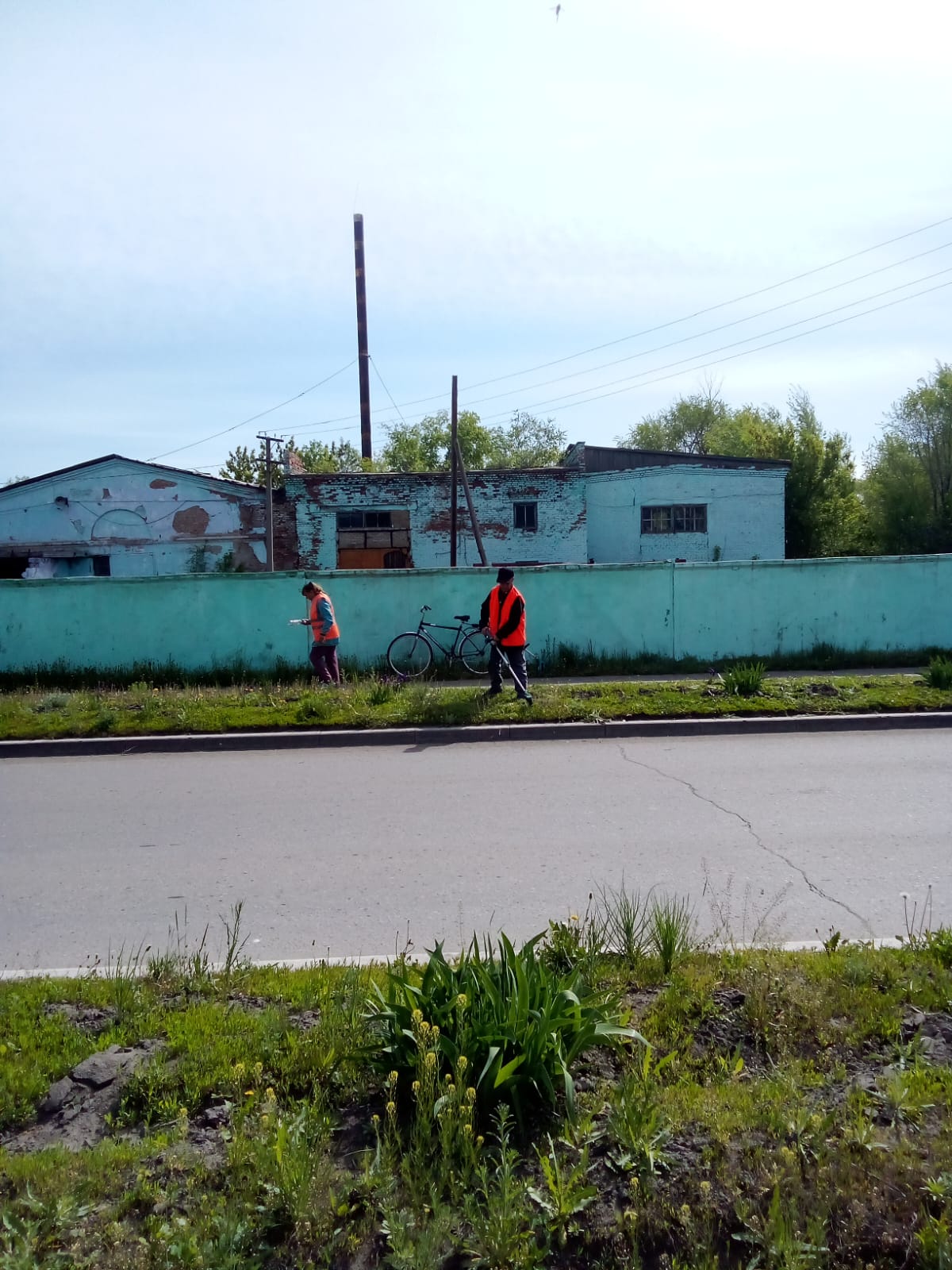 Кавкетаев көшесінде шөп шабу