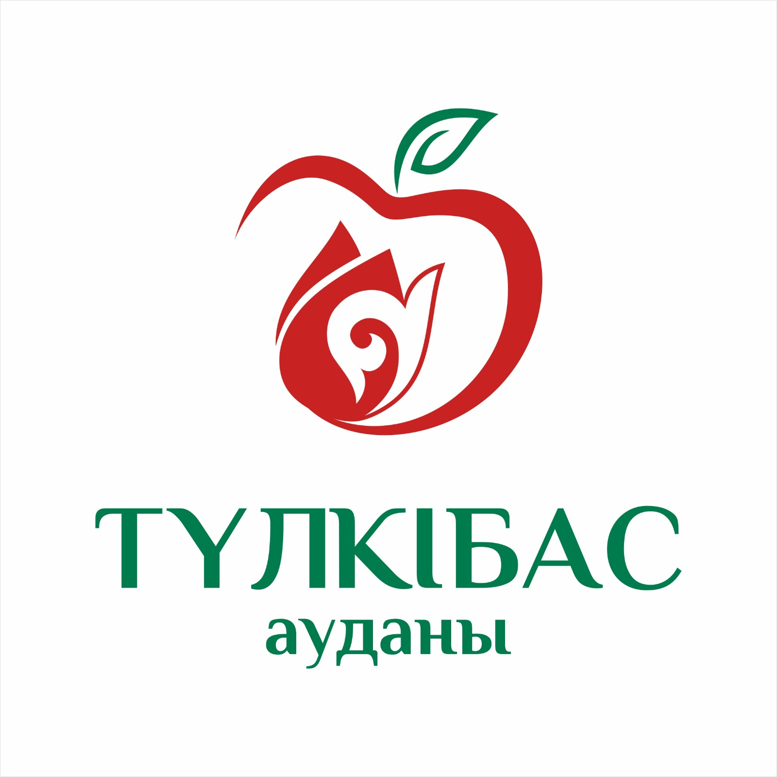 Түлкібас  ауданының логотипін бекіту