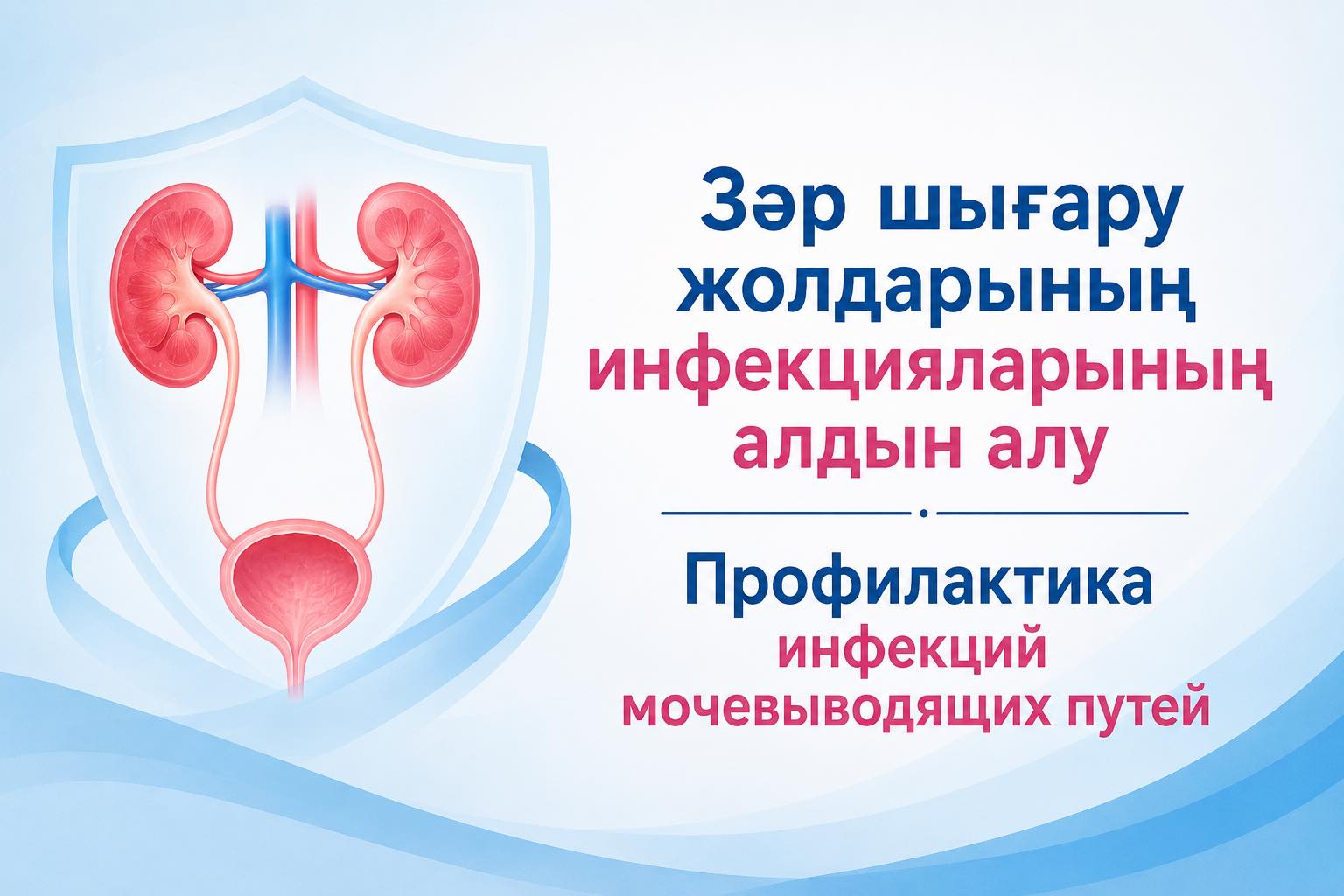 📌Профилактика инфекций мочевыводящих путей