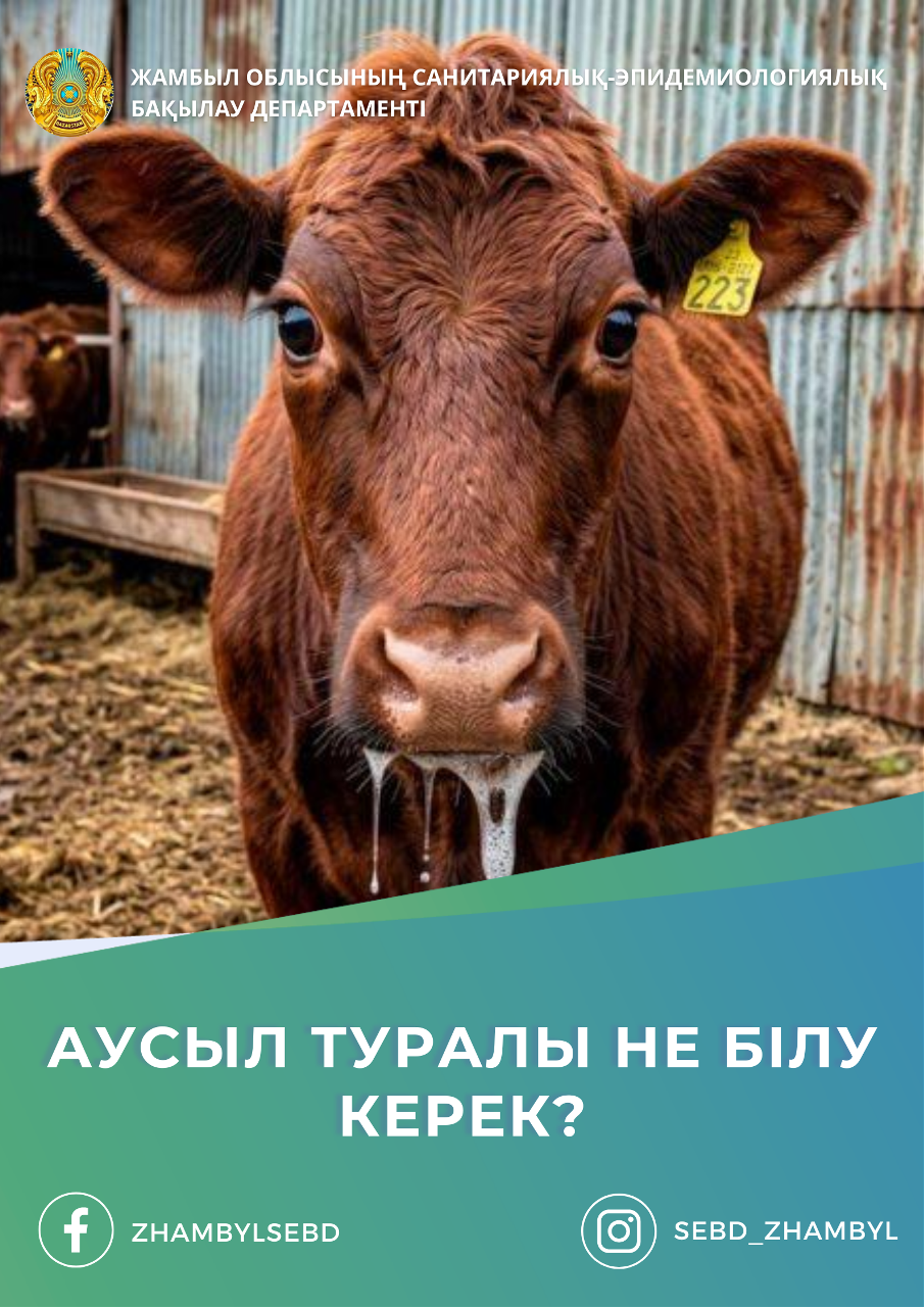 Аусыл туралы не білу керек?