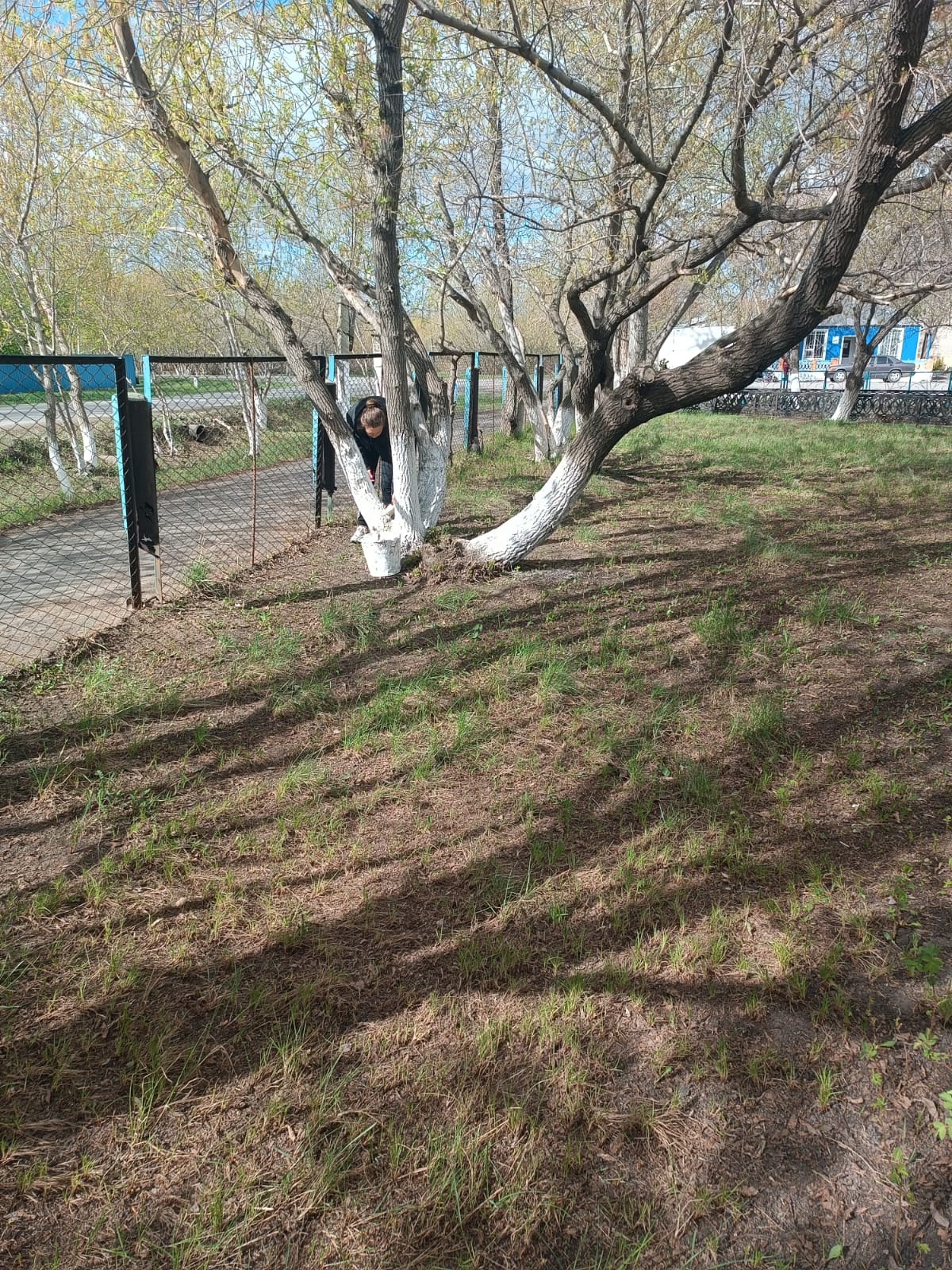 Таза Қазақстан