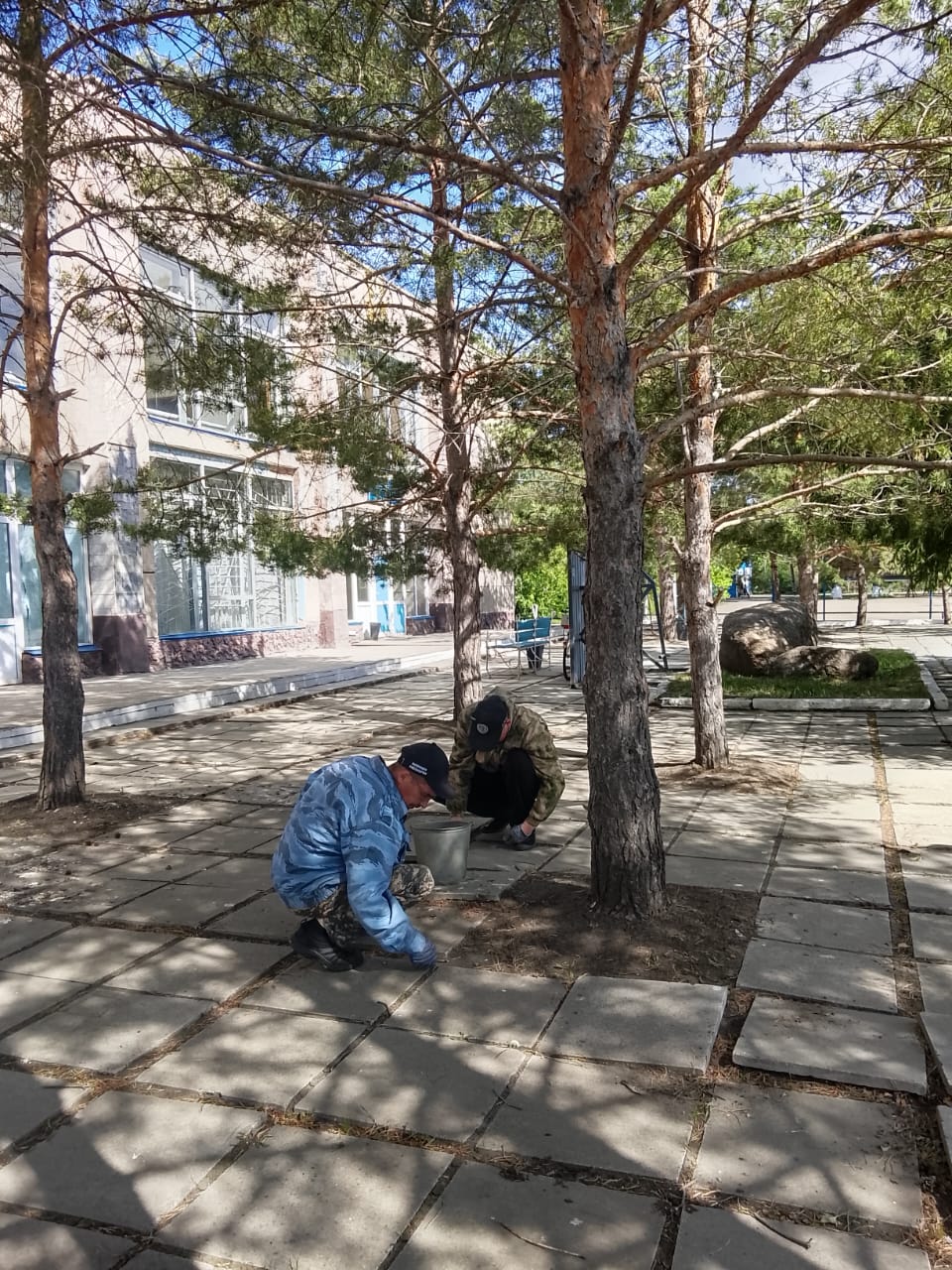 8-14 мамыр аралығында "Таза Қазақстан" экологиялық акциясы аясында қоғамдық қызметкерлер жұмыс жүргізді
