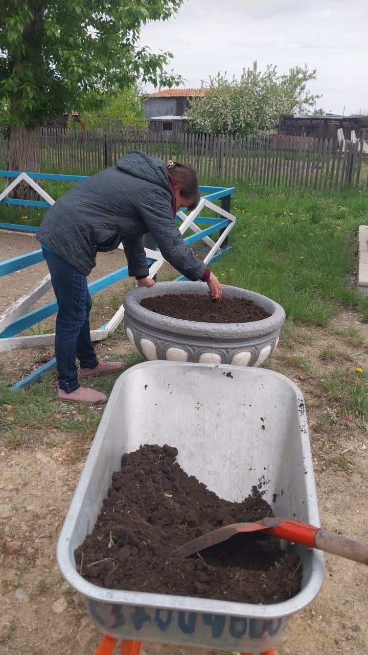 Таза Қазақстан: антоновкада орталық алаңды абаттандыру жалғасуда 🌿