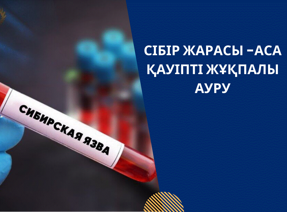 Профилактика сибирской язвы