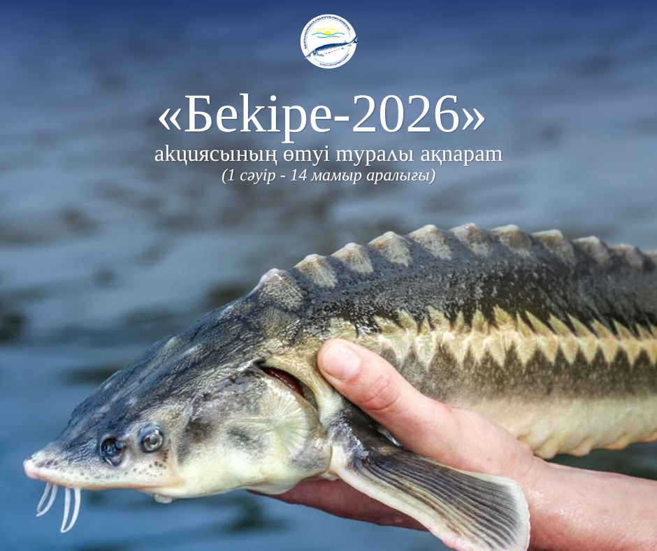 «Бекіре-2026» акциясының өтуі туралы ақпарат (2026 жылғы 1 сәуір - 14 мамыр аралығы)