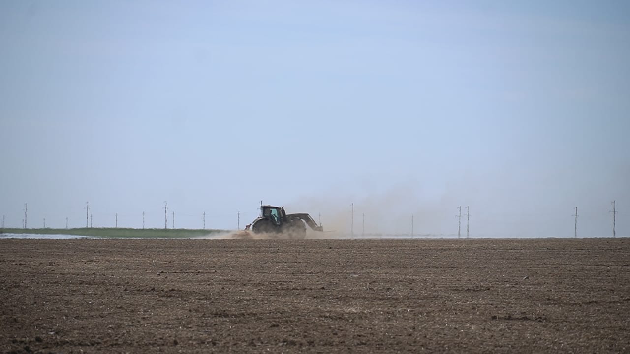 Есіл ауданында көкөніс дақылдарын егу жұмыстары қалай жүріп жатыр