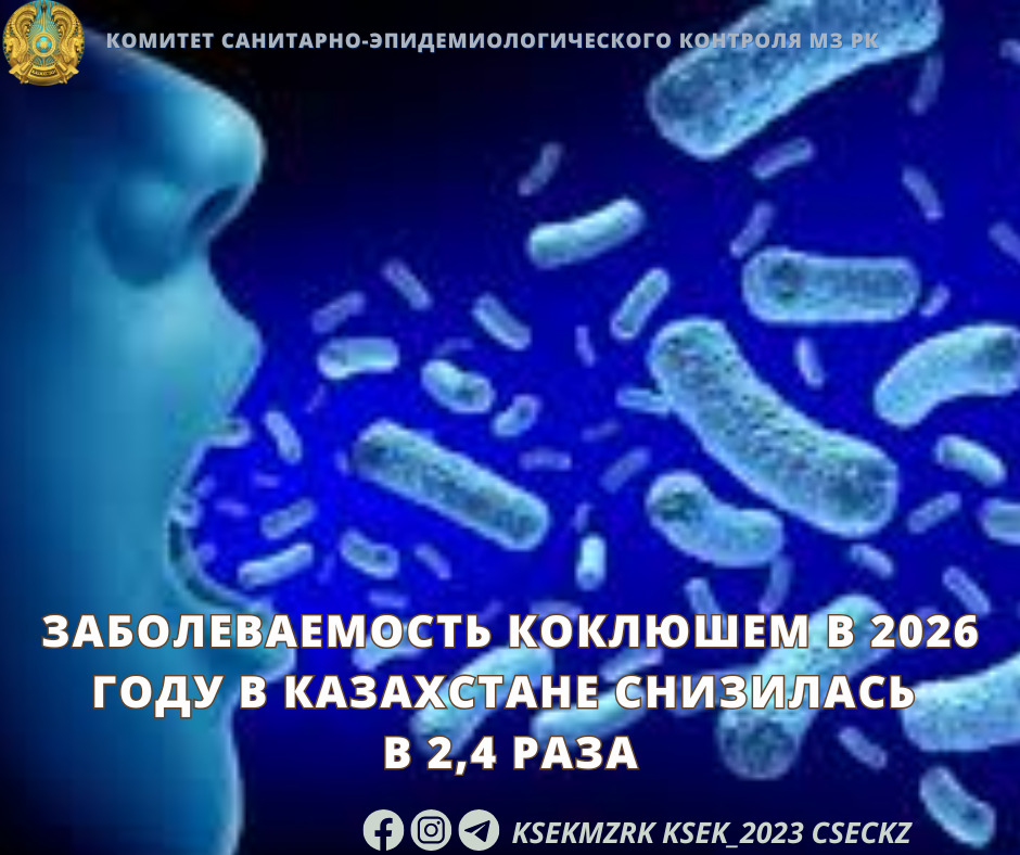 Заболеваемость коклюшем в 2026 году в Казахстане снизилась в 2,4 раза