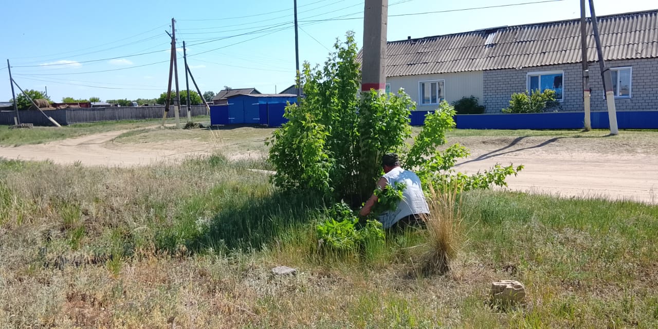 «Туған жерді таза ұстайық!»