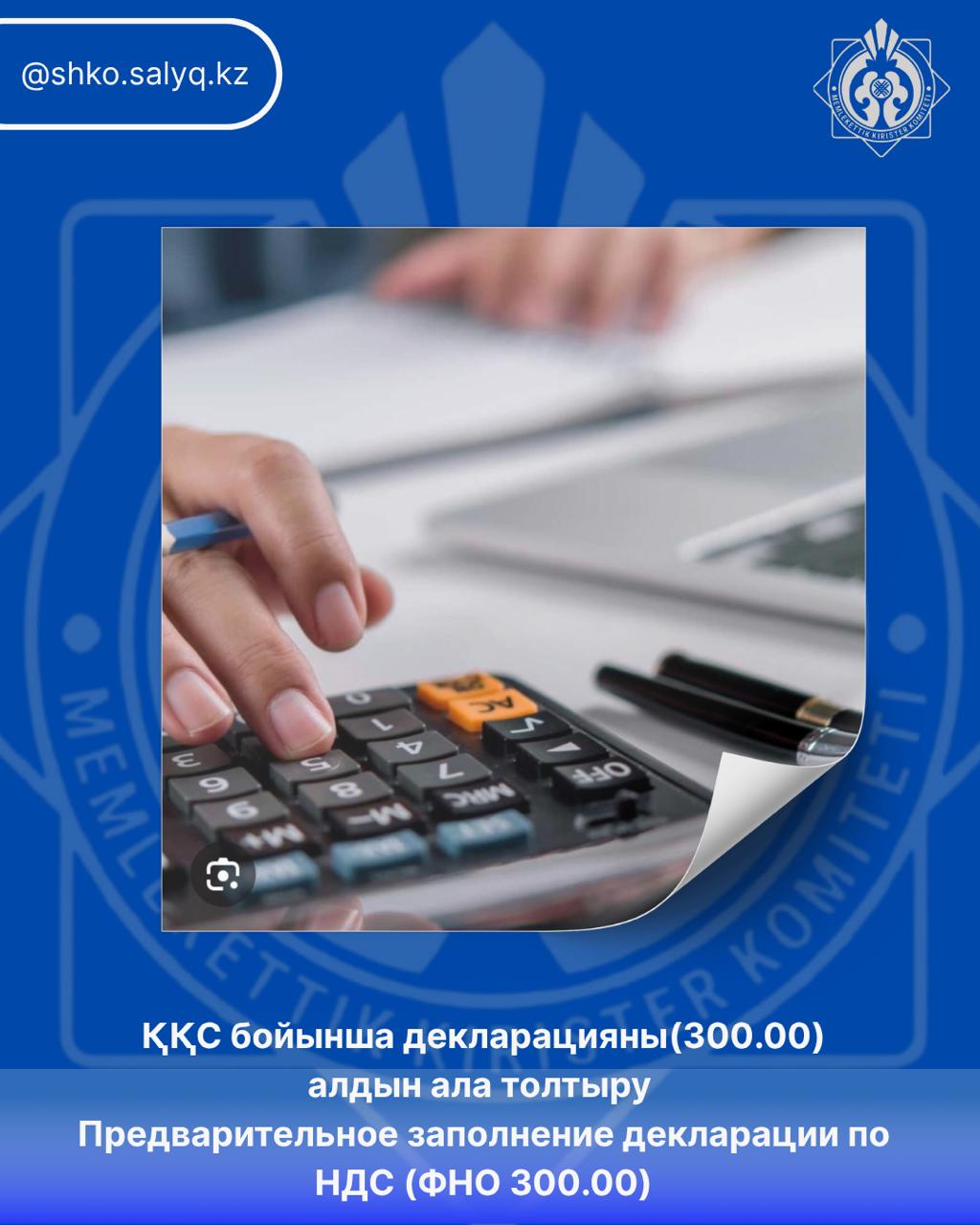ҚҚС бойынша декларацияны (300.00) алдын ала толтыру