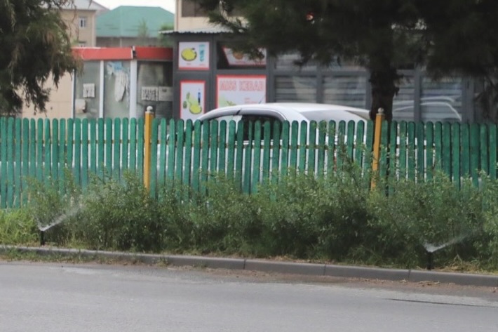 В САРЫАГАШЕ АКТИВНО ПРОДОЛЖАЮТСЯ РАБОТЫ ПО БЛАГОУСТРОЙСТВУ И ОЗЕЛЕНЕНИЮ