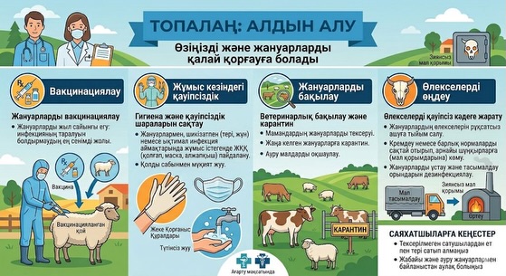 Вакцинациялау: Жануарларды жыл сайынғы егу — инфекцияның таралуын болдырмаудың ең сенімді жолы.