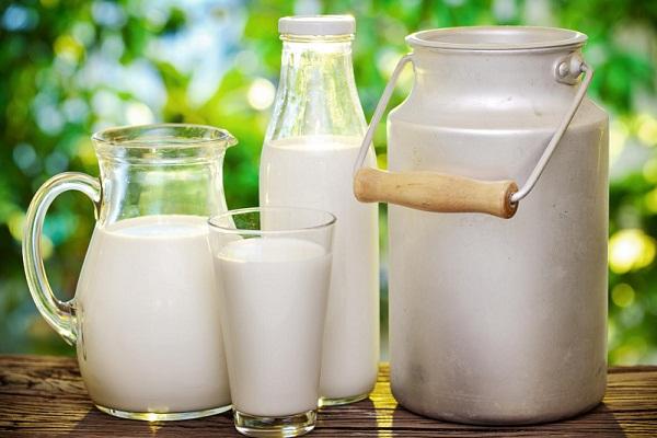 Қауіпсіз сүт өнімдерін таңдаймыз