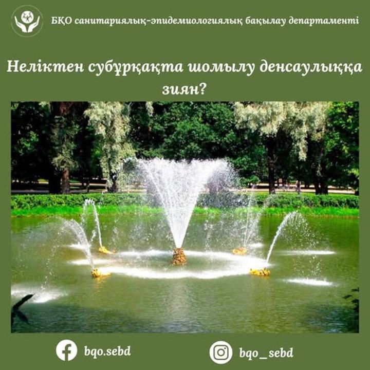 Неліктен субұрқақта шомылу денсаулыққа зиян?