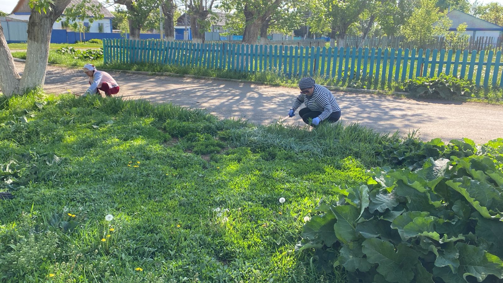 Таза Қазақстан