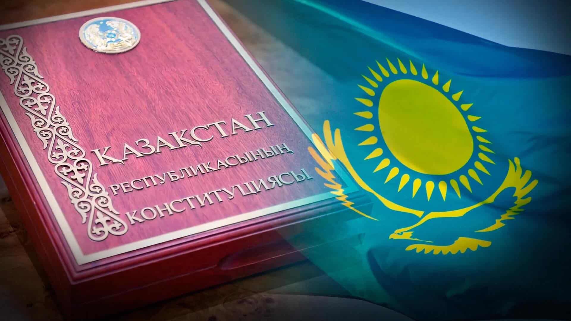 Выступила в прямом эфире на тему «Нормы новой Конституции», предоставив разъяснительную информацию