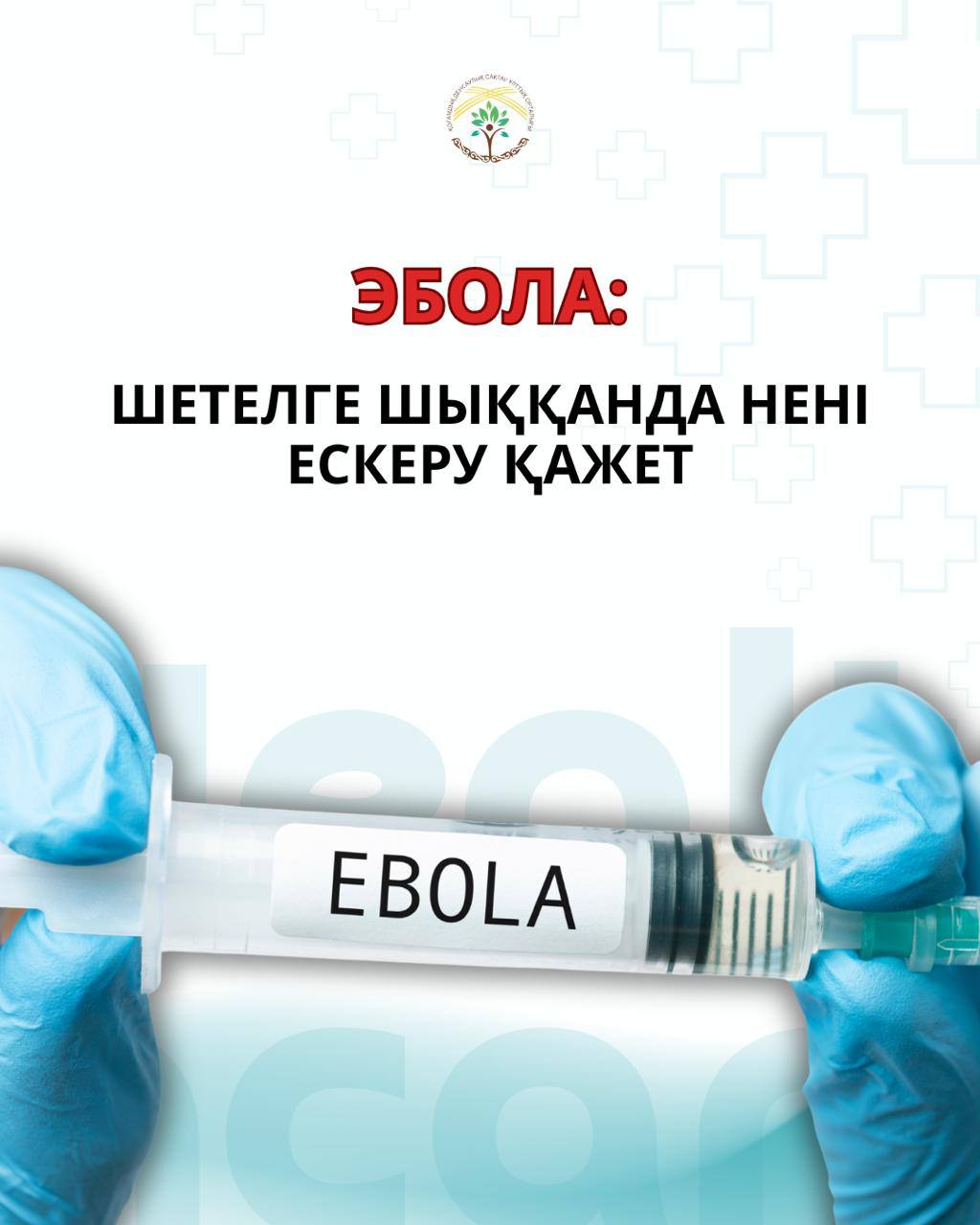 Эбола: шетелге шыққанда нені ескеру қажет