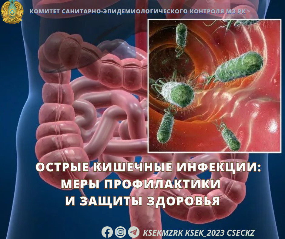 Острые кишечные инфекции: меры профилактики и защиты здоровья