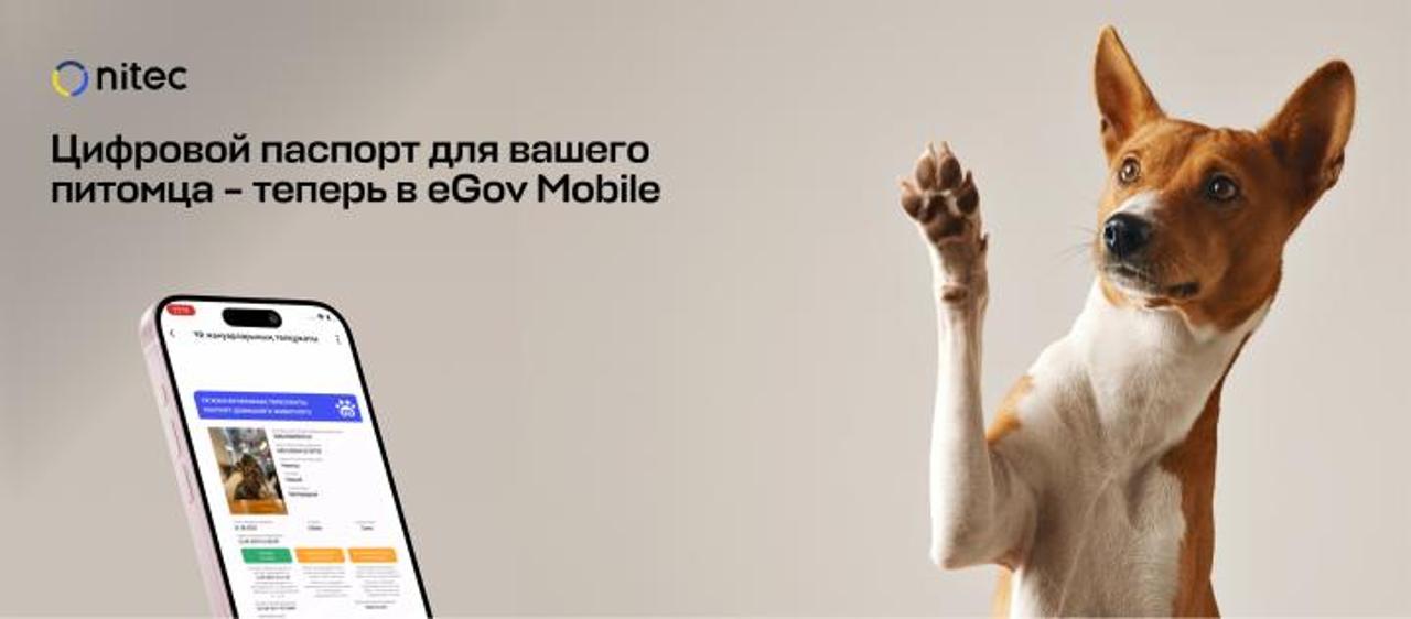 Цифровой паспорт для вашего питомца – теперь в eGov Mobile