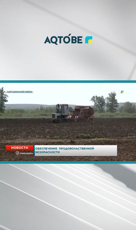 ОБЕСПЕЧЕНИЕ ПРОДОВОЛЬСТВЕННОЙ БЕЗОПАСНОСТИ