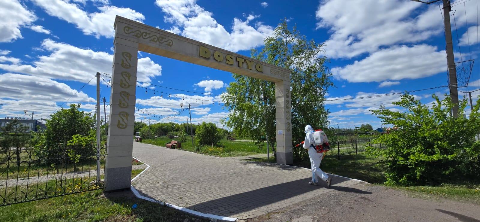 Безопасное лето: в городе Мамлютка проводится плановая дезинсекция общественных мест