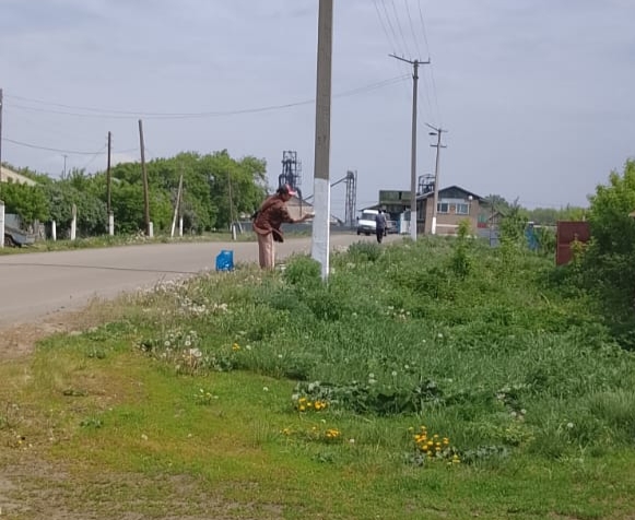 В Благовещенском сельском округе проводятся работы по побелке столбов