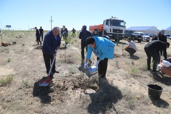В Аральске прошла акция по посадке деревьев