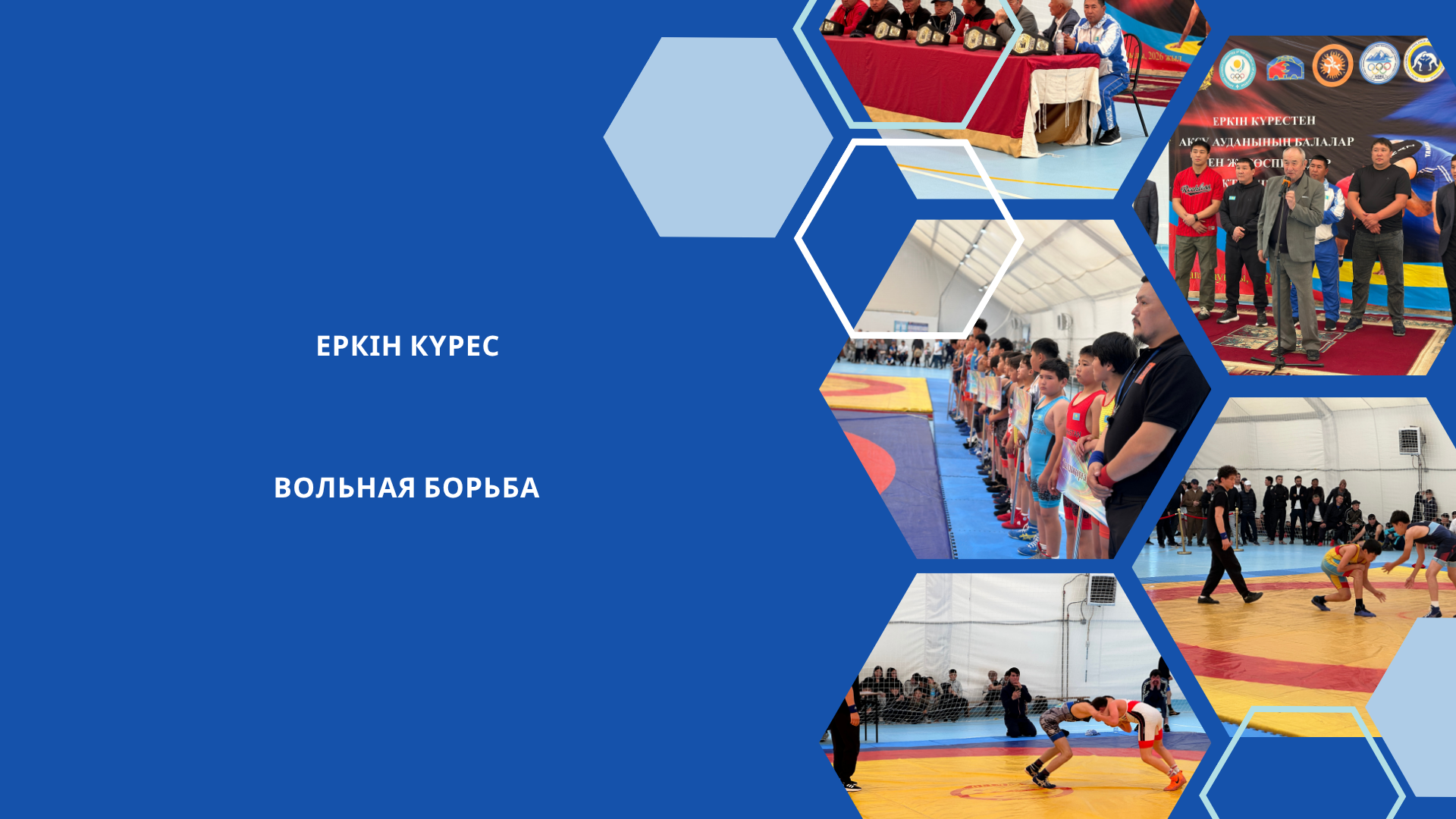 Вольная борьба